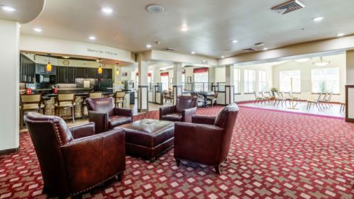 Alexis Estates Activities Room